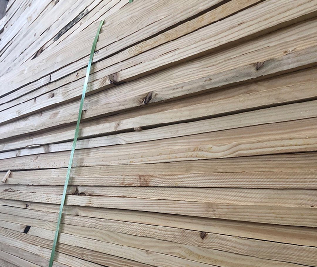 黄浦巴西松